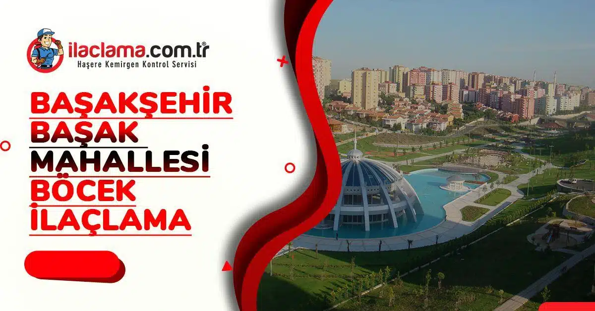 Başakşehir başak mahallesi böcek ilaçlama