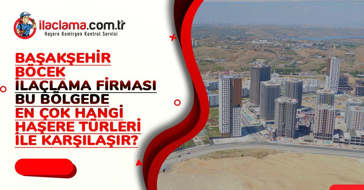 Başakşehir böcek ilaçlama firması bu bölgede en çok hangi haşere türleri ile karşılaşır