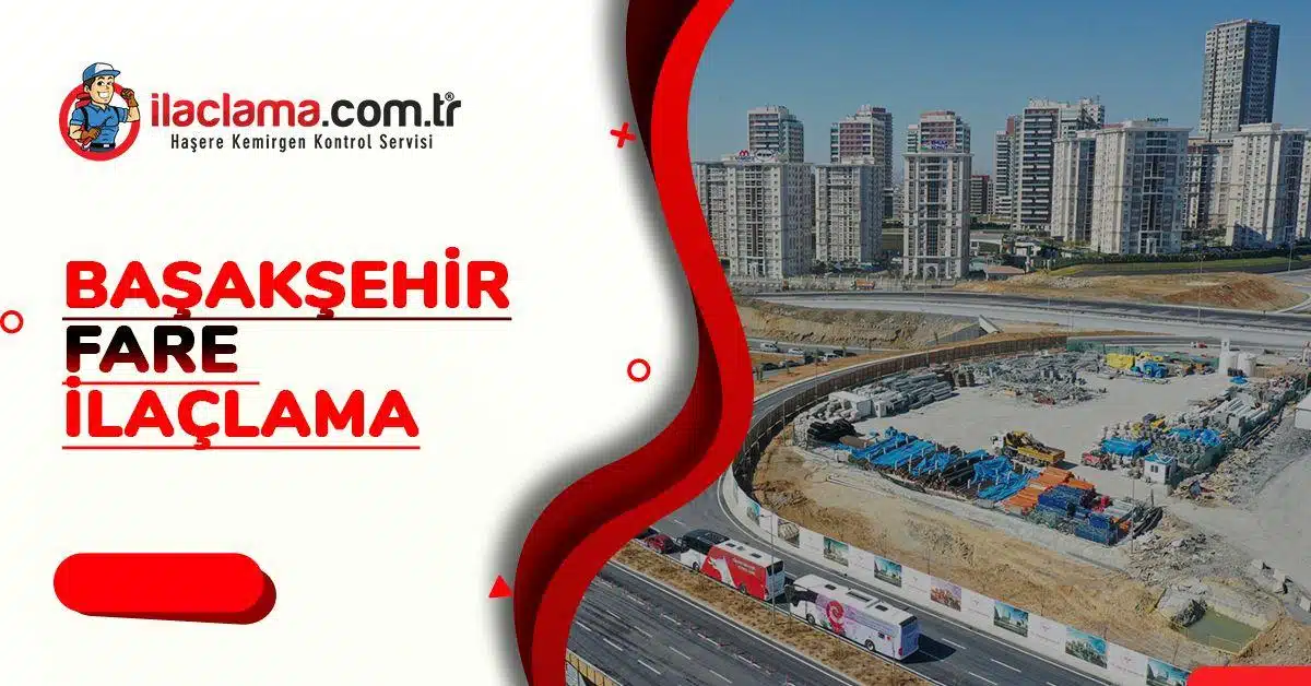 Başakşehir fare ilaçlama