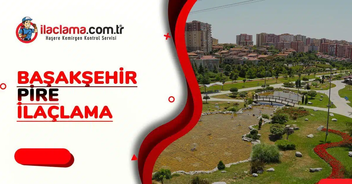 Başakşehir pire ilaçlama