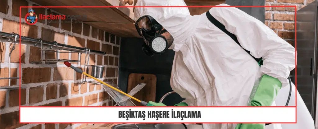 beşiktaş haşere ilaçlama