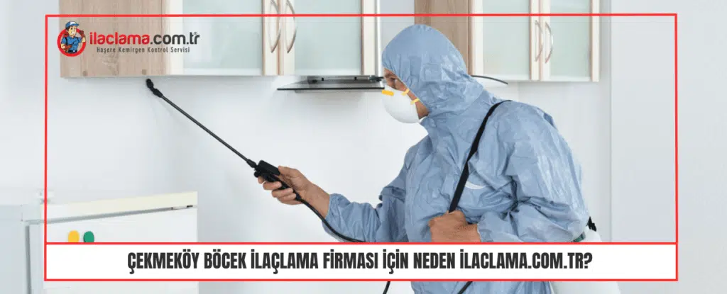 Çekmeköy Böcek ilaçlama firması için Neden ilaclama.com.tr