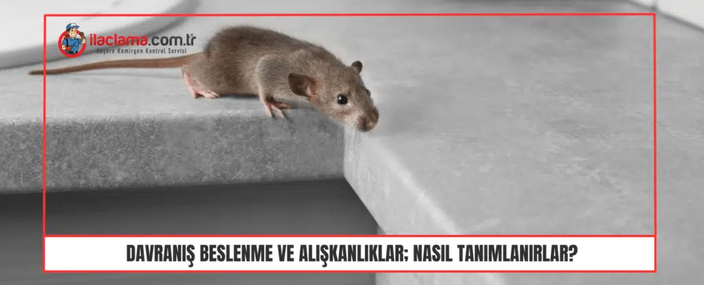 ev faresi nasıl tanımlanır