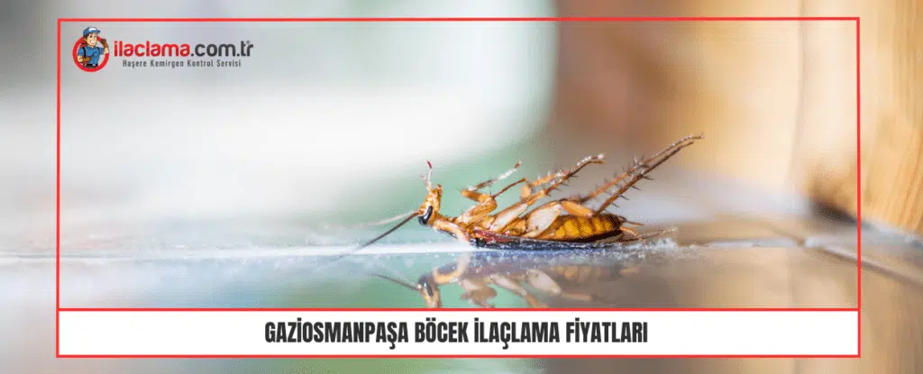 Gaziosmanpaşa Böcek İlaçlama Fiyatları