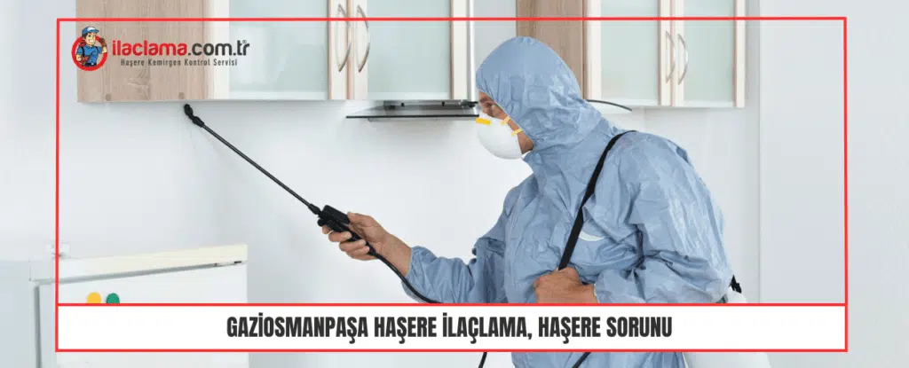 Gaziosmanpaşa Haşere ilaçlama, Haşere Sorunu