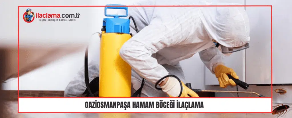 Gaziosmanpaşa hamam böceği ilaçlama