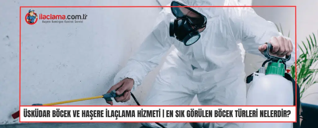 üsküdar böcek ve haşere ilaçlama hizmeti En Sık görülen Böcek Türleri Nelerdir