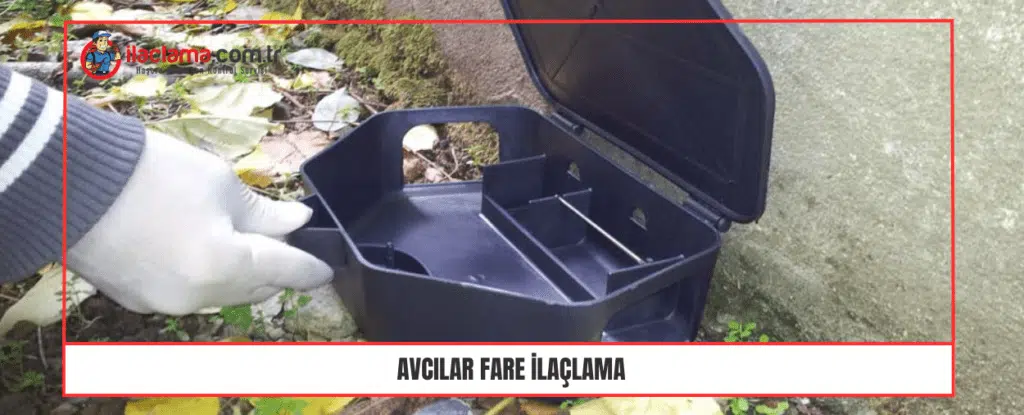 Avcılar fare ilaçlama