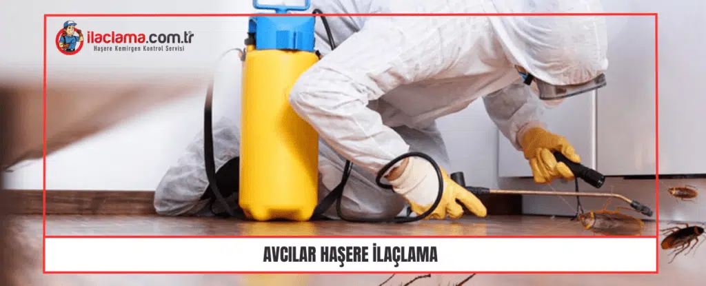 Avcılar haşere ilaçlama