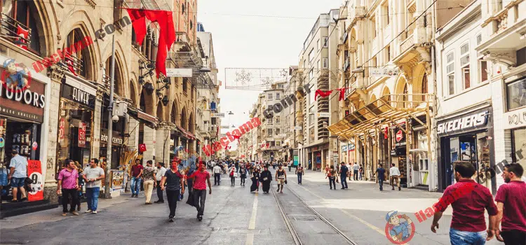 Beyoğlu-Böcek-ilaçlama