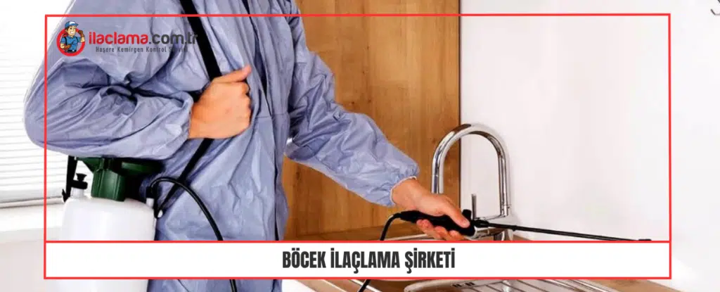 Böcek İlaçlama Şirketi