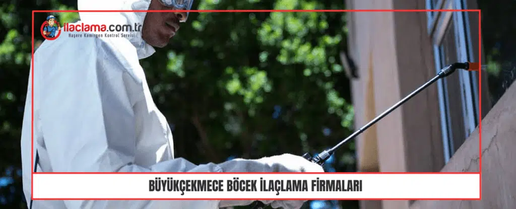 Büyükçekmece Böcek İlaçlama Firmaları