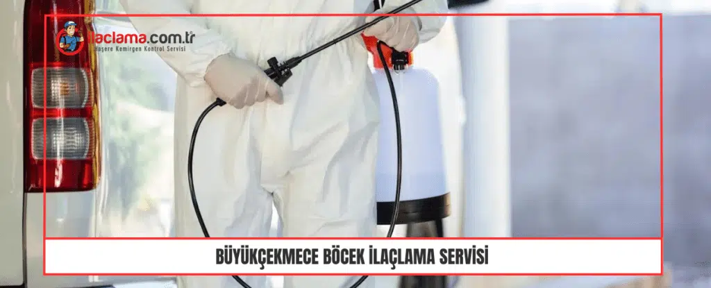 Büyükçekmece böcek ilaçlama servisi