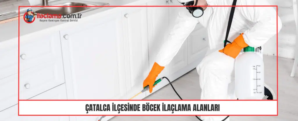 Çatalca ilçesinde böcek ilaçlama alanları