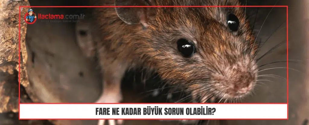 Fare ne kadar büyük sorun olabilir