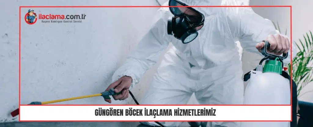 Güngören Böcek İlaçlama Hizmetlerimiz