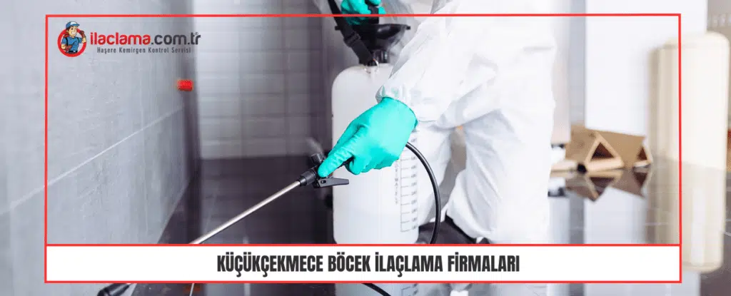 Küçükçekmece Böcek İlaçlama Firmaları