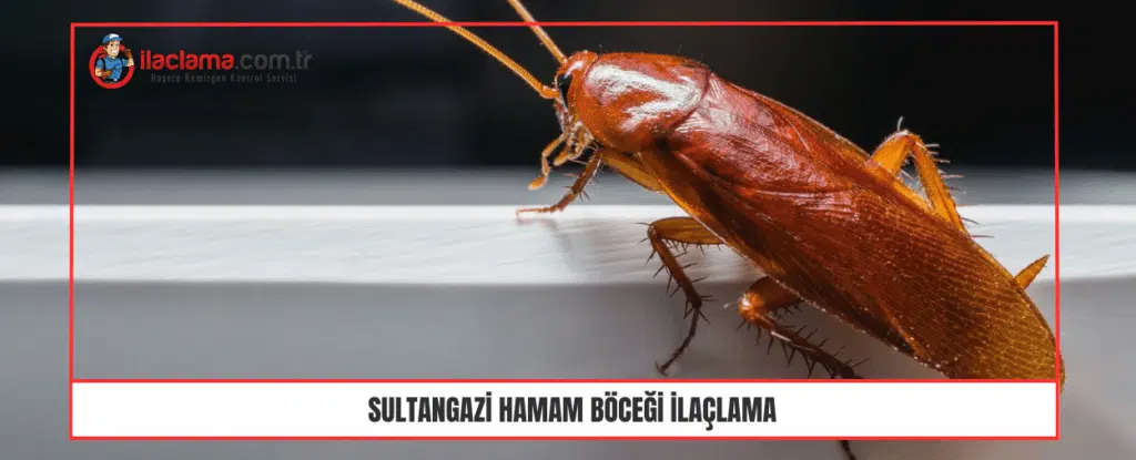 Sultangazi hamam böceği ilaçlama