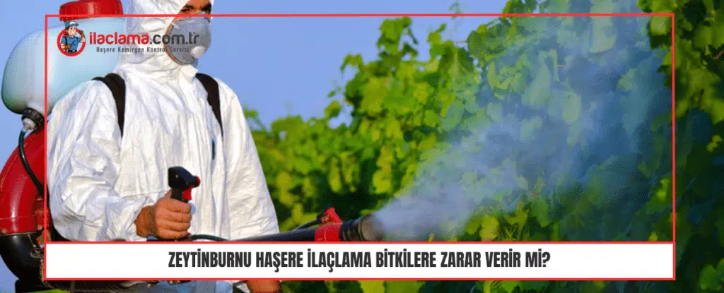 Zeytinburnu Haşere İlaçlama Bitkilere Zarar Verir Mi