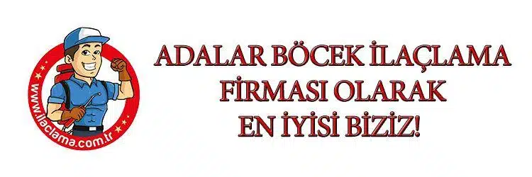 adalar-böcek-ilaçlama