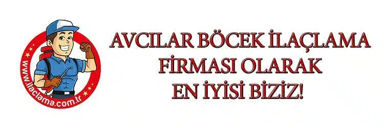 avcılar-böcek-ilaçlama