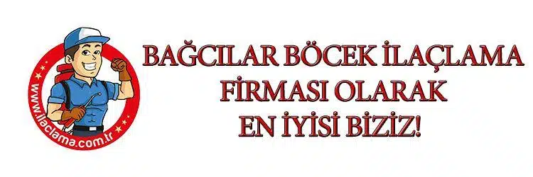 bağcılar-böcek-ilaçlama