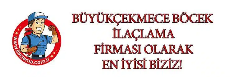 büyükçekmece-böcek-ilaçlama