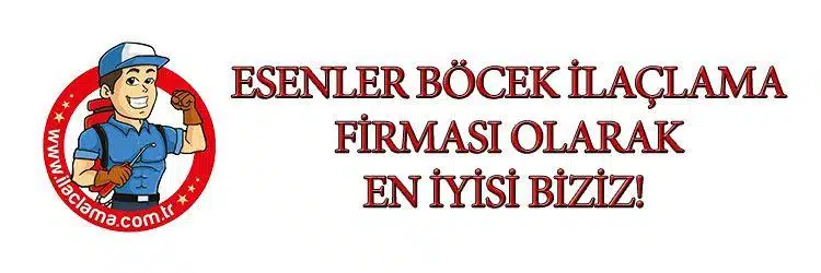 esenler-böcek-ilaçlama