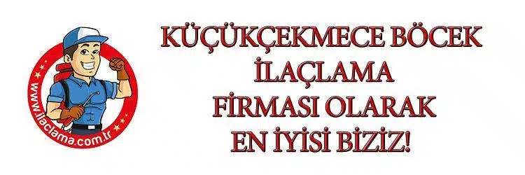 küçükcekmece-böcek-ilaçlama