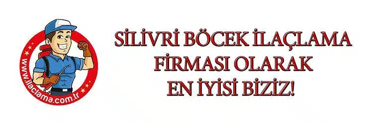 silivri-böcek-ilaçlama