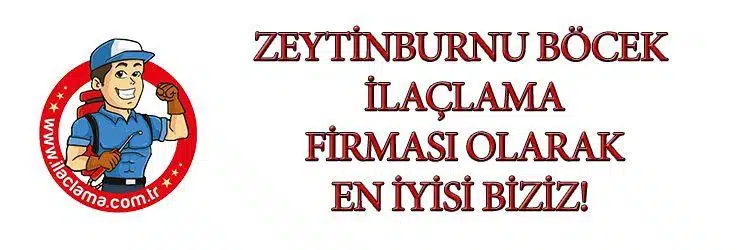 Zeytinburnu böcek ilaçlama