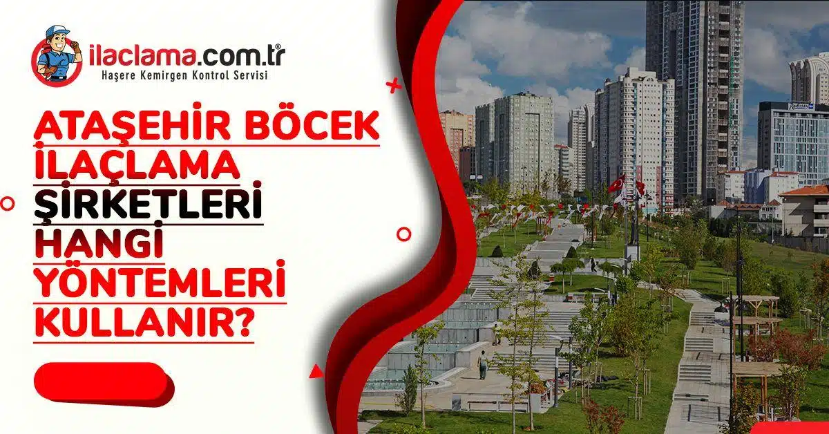 Ataşehir Böcek ilaçlama şirketleri Hangi Yöntemleri Kullanır