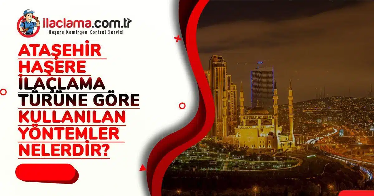 Ataşehir Haşere ilaçlama Türüne Göre Kullanılan Yöntemler Nelerdir