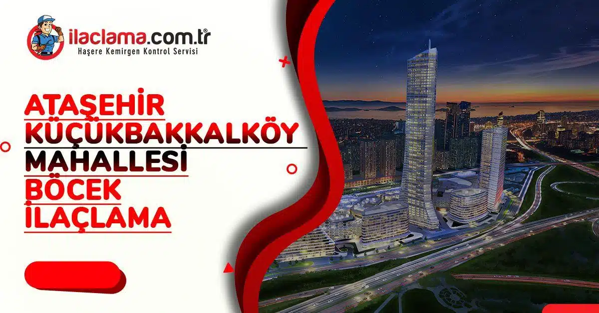 Ataşehir Küçükbakkalköy mahallesi böcek ilaçlama