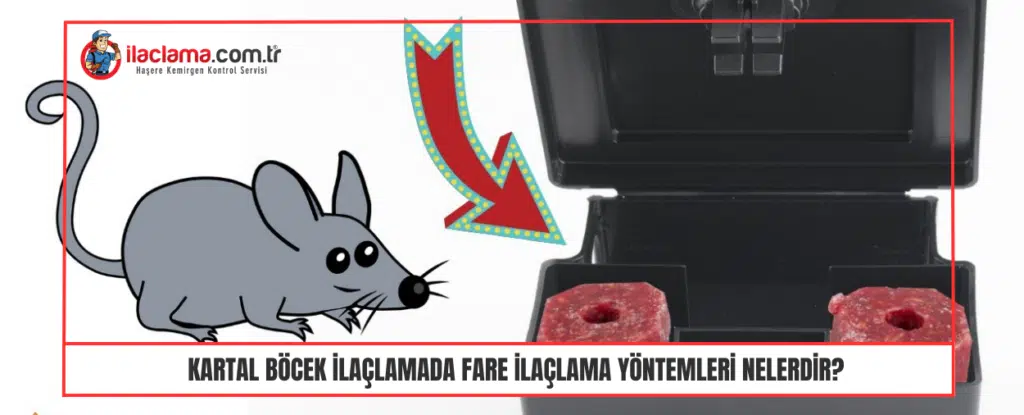 Kartal Böcek İlaçlamada Fare ilaçlama Yöntemleri Nelerdir 