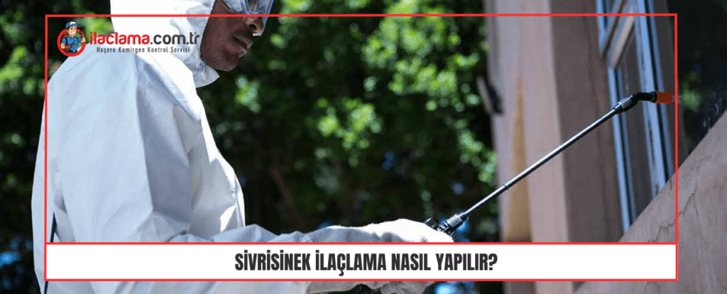 Sivrisinek ilaçlama Nasıl Yapılır