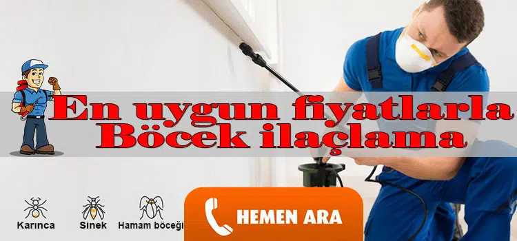 böcek-ilaçlama-firması, ev-ilaçlama, ev-böcekleri