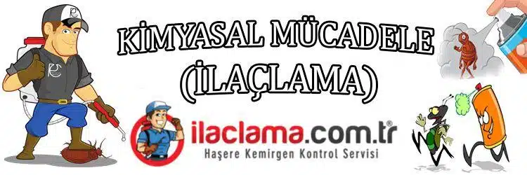 kırkayak-ilaclama-ev ilaclama