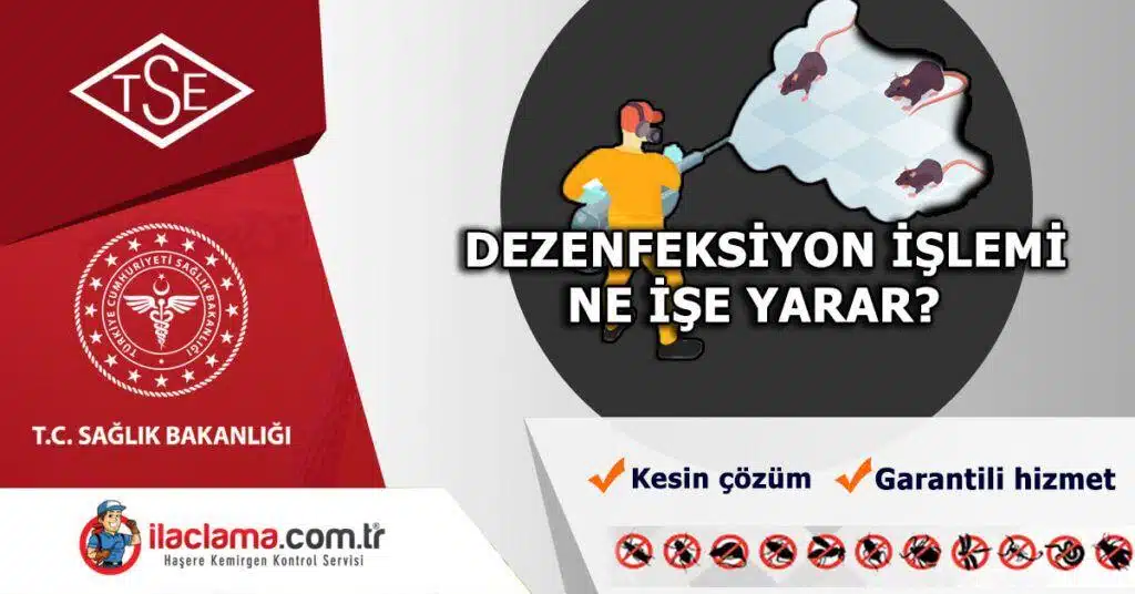 Dezenfeksiyon_işlemi_nasıl_yapılır, Dezenfeksiyon