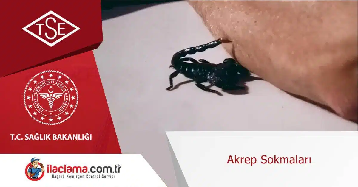 akrep-sokmaları