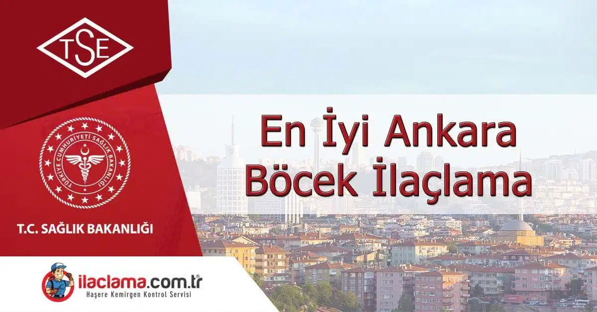 Ankara böcek ilaçlama, ankara-bocek-ilaclama,