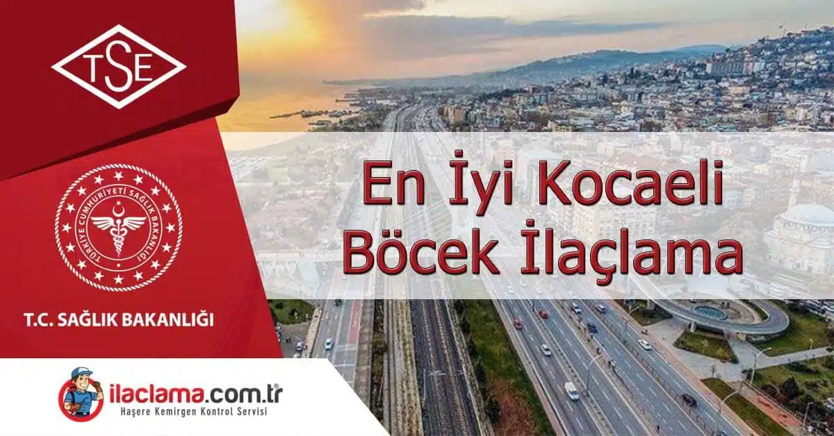 kocaeli-böcek-ilaçlama, kocaeli-ilaçlama