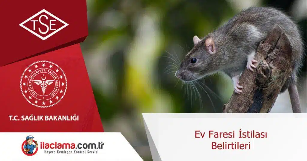 ev faresi istilası belirtileri