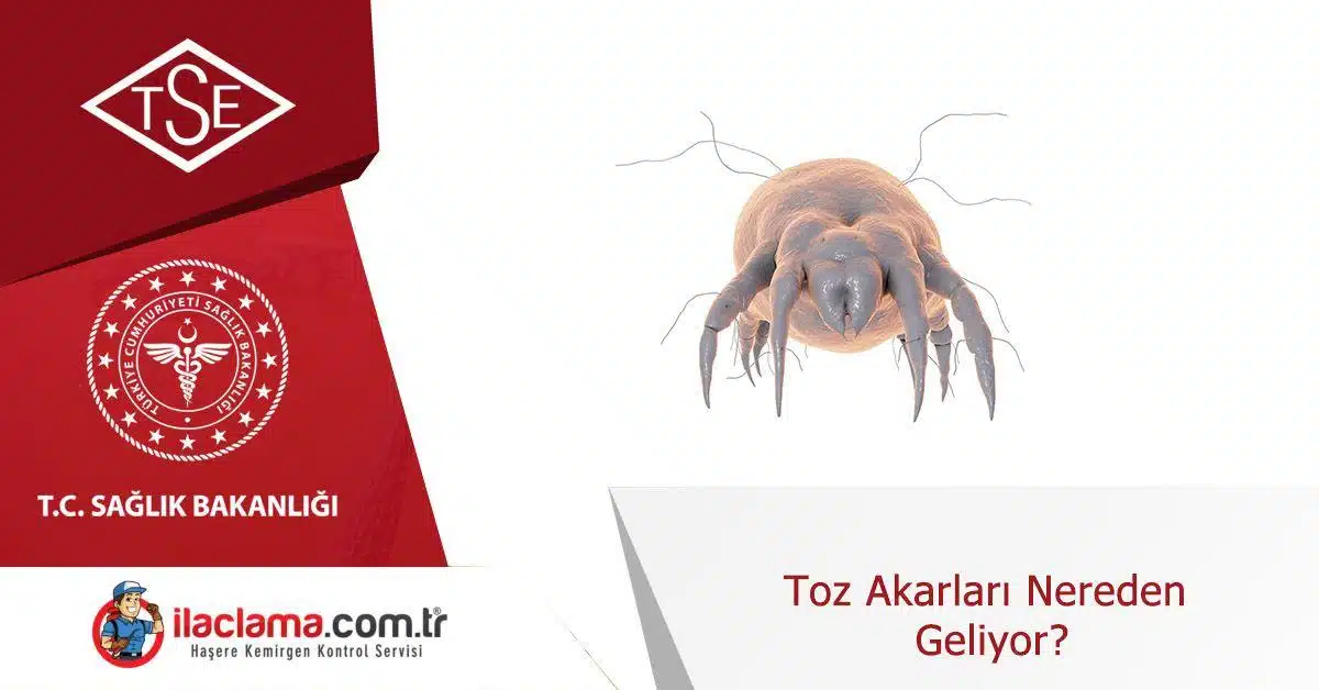 toz-akarları-nereden-geliyor