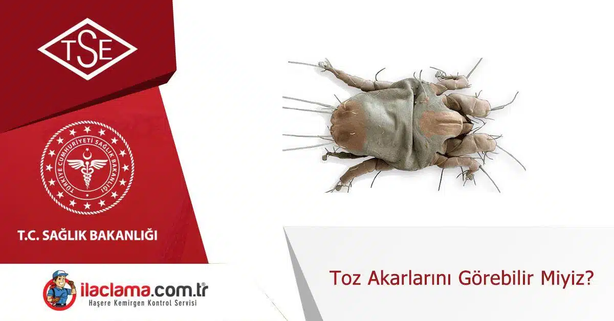 toz-akarlarını-görebilir-miyiz