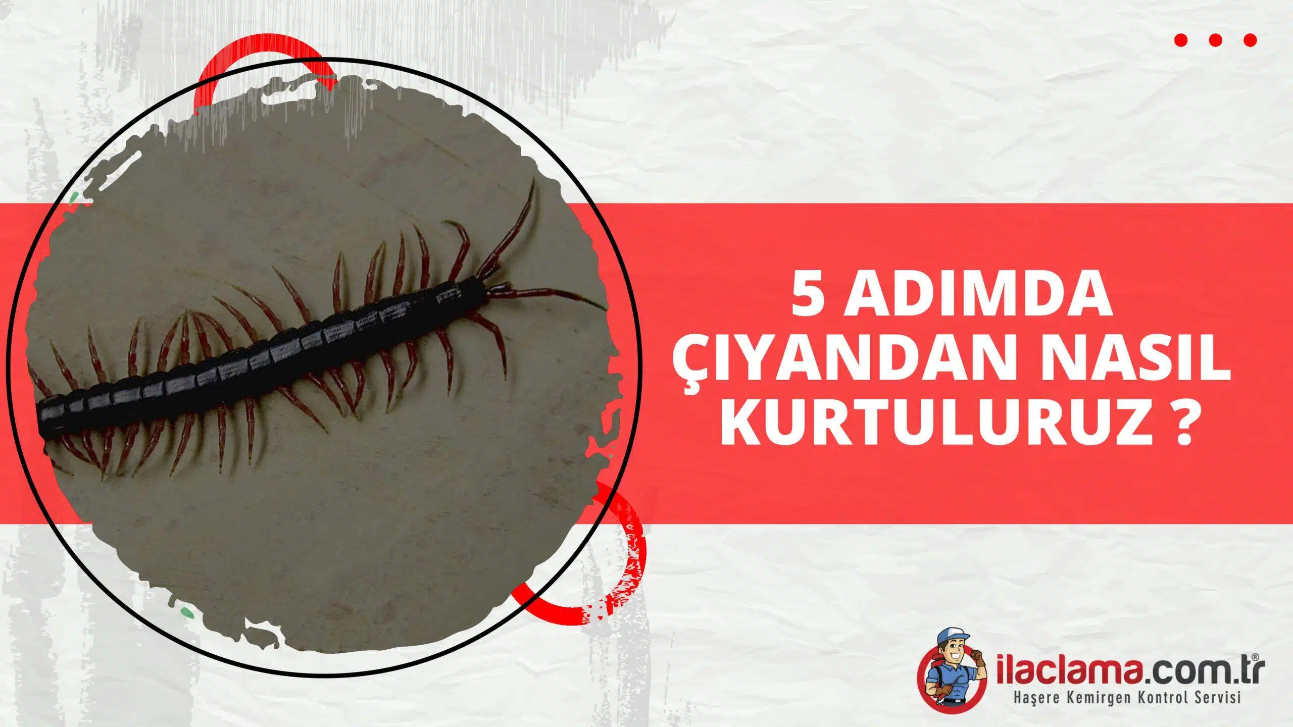 5 Adımda Çiyanlardan Nasıl Kurtuluruz