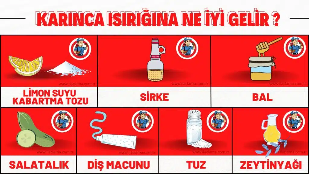 karınca ısırığı ne iyi gelir