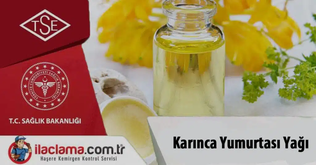 karınca yumurtası yağı