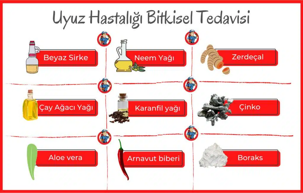 Uyuz Hastalığı Bitkisel Tedavisi 