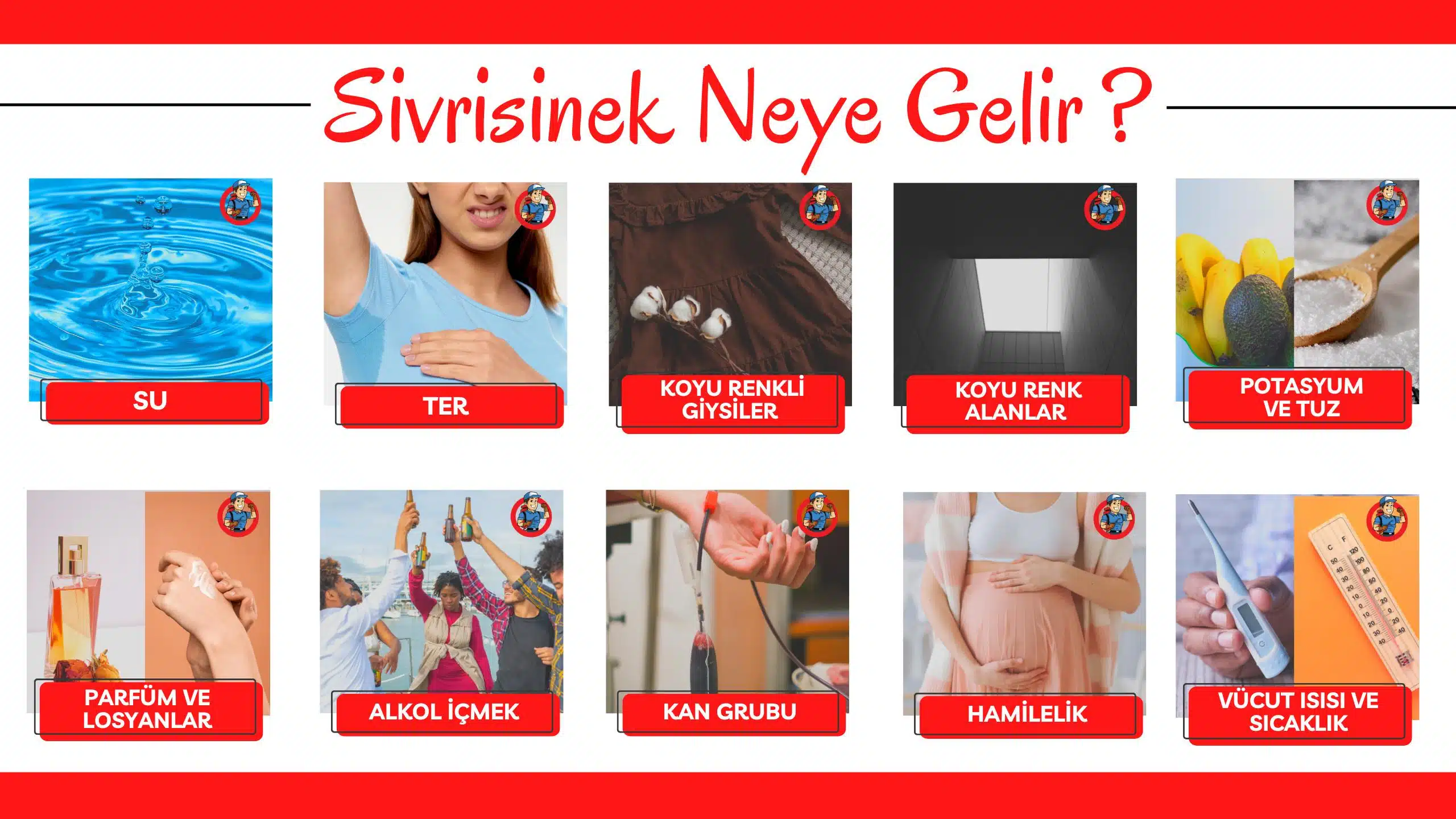 Sivrisinek neye gelir